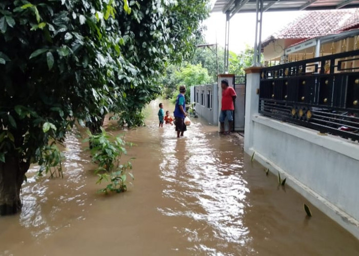 Diguyur Hujan Lebat Selama Dua Hari Puluhan Rumah Warga di Widasari Kebanjiran