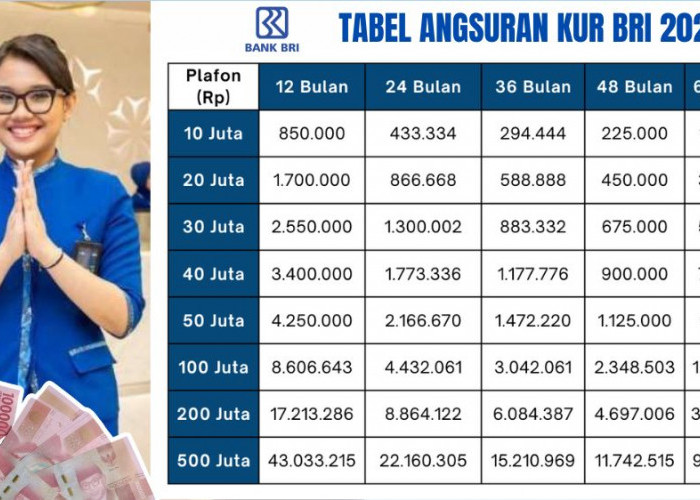 Cek Angsuran KUR BRI 2025 Pinjaman Rp10 Juta UMKM Bisa Cicil 3 Tahun Mulai dari Rp300 Ribuan Per Bulan
