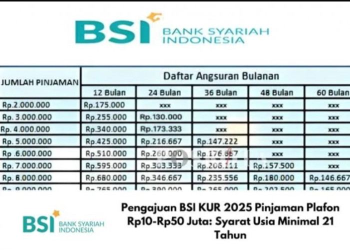 Pinjaman Halal, Suntikan Modal Usaha UMKM KUR BSI Plafon 50 Juta Anti Riba! Terbaru Cek Cicilan & Syaratnya 