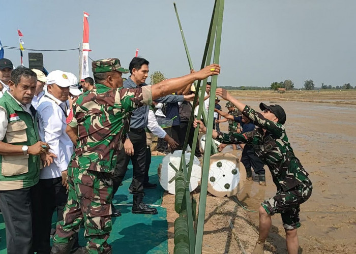Modernisasi Pertanian di Indramayu, Sistem PM-AAS  Bisa Hasilkan 10 Ton per Hektare