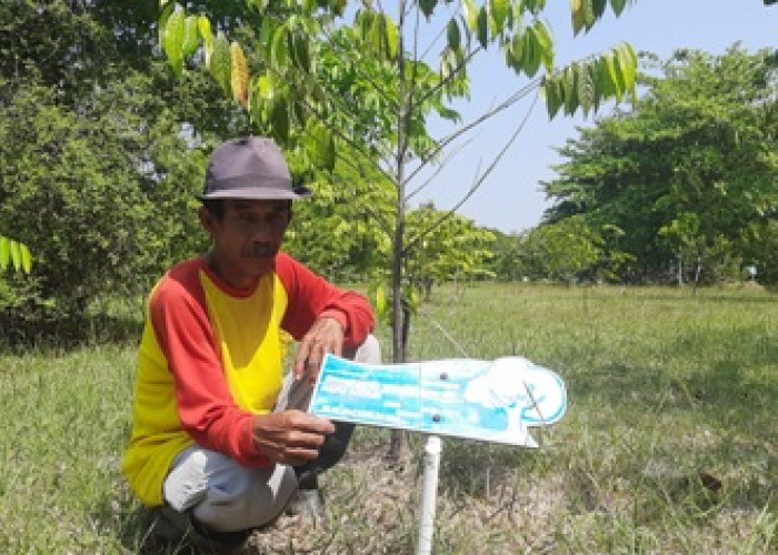 Taman Kehati Jadi Pusat Edukasi dan Penelitian Pohon Langka di Indramayu