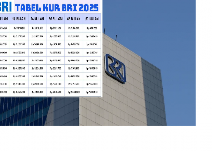 Update KUR BRI 2025 Bulan Mei! Cek Tabel Terbaru: Rincian Pinjaman, Cicilan, Tenor, dan Syarat Lengkapnya!