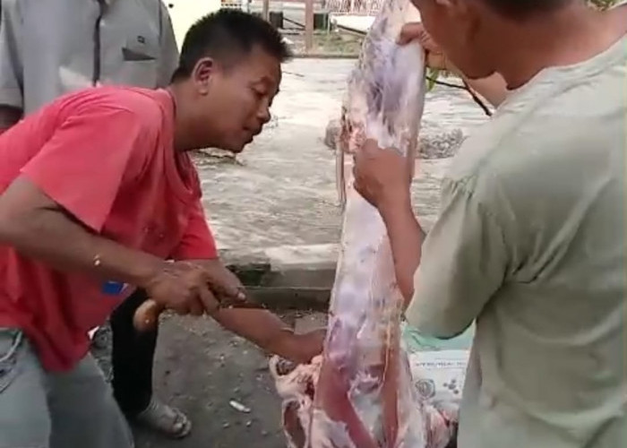 Yayasan Ibu Hj Marinah Desa Lombang  Bagikan Daging Qurban kepada Anak Yatim dan Kaum Duafa 