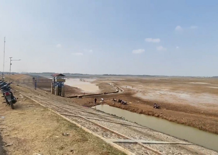 Bendungan Cipancuh Mengering, KTNA Imbau Petani di Inbar Fokus Pada Lahan yang Sudah Tanam