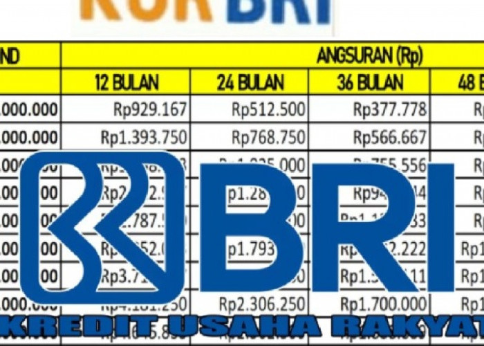 Pinjaman KUR BRI 50 Juta Angsuran Berapa, Ini Skema Cicilan Berdasarkan Tenor Pinjaman Mulai dari 1 Juta 
