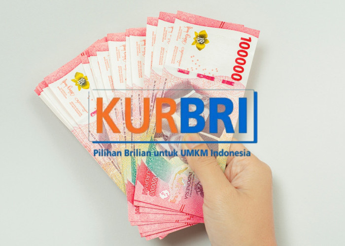 Gak Pake Ribet! Begini Cara Daftar Pinjaman KUR BRI 2025 untuk Dapat Modal Usaha Sampai 500 Juta!