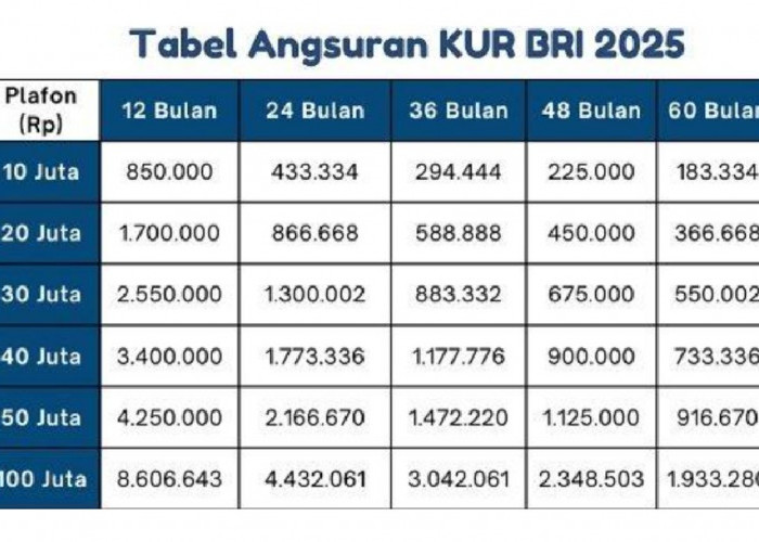 Tobat Pinjol, Ini Detail Pinjaman Tabel KUR BRI 100 Juta Lengkap dengan Persyaratannya