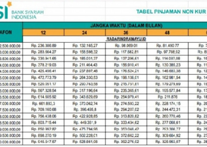 Bunga 0 Persen Tanpa Riba, Ini Pinjaman Terbaru Kur BSI Non KUR 250 Juta dengan Menerapkan Prinsip Syariah 