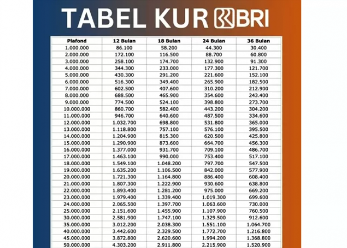 Pinjam Rp20 Juta, Cicilan Mulai Rp400 Ribuan, Syarat Gampang, Tenor Fleksibel, Cair Cepat, Bisnis Makin Aman!