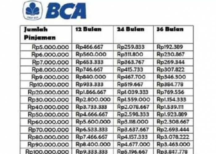 Cuma 10 Menit Isi Formulir, KUR BCA Online Langsung Disetujui? Ini Buktinya!
