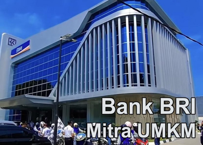 Usaha Jenis Apa Saja yang Mudah di ACC BRI? Cek Angsuran Pinjaman KUR BRI 2025 Rp30 Juta, Cicilan 500 Ribuan 
