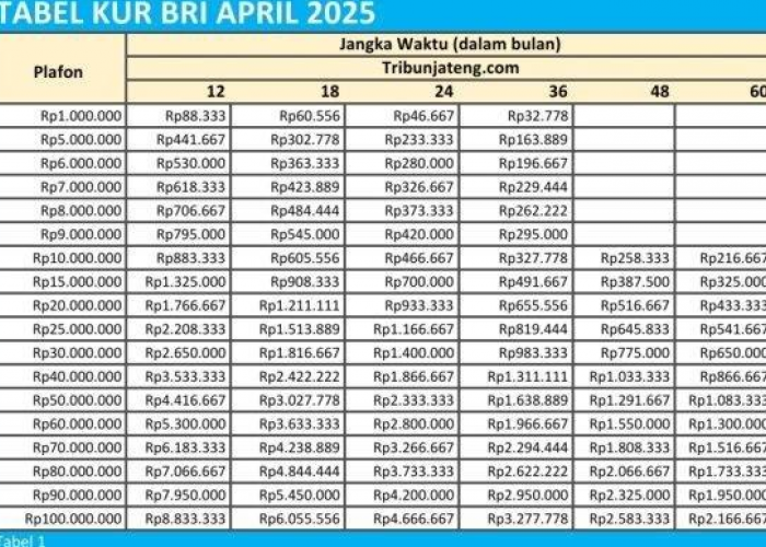 KUR BRI 2025 Tanpa Agunan, Modal Usaha Rp100 Juta, Syarat Gampang, Proses Kilat!