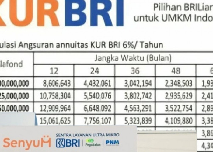 Ini Rincian Cicilan KUR BRI Terbaru Plafon 50 Juta, Cukup 1 Juta Bisa Angsur Pinjaman Hingga 5 Tahun