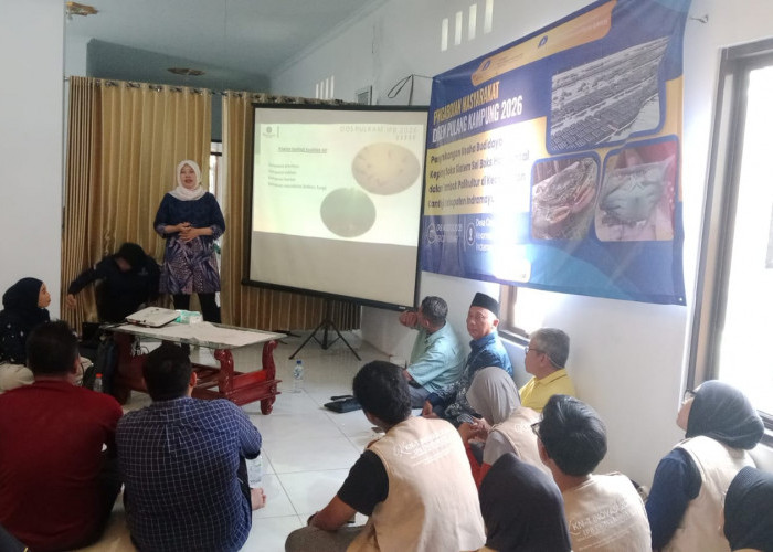 Nelayan Cangkring Sambut Baik Program Budidaya Kepiting Soka Sistem Sel Boks Horizontal