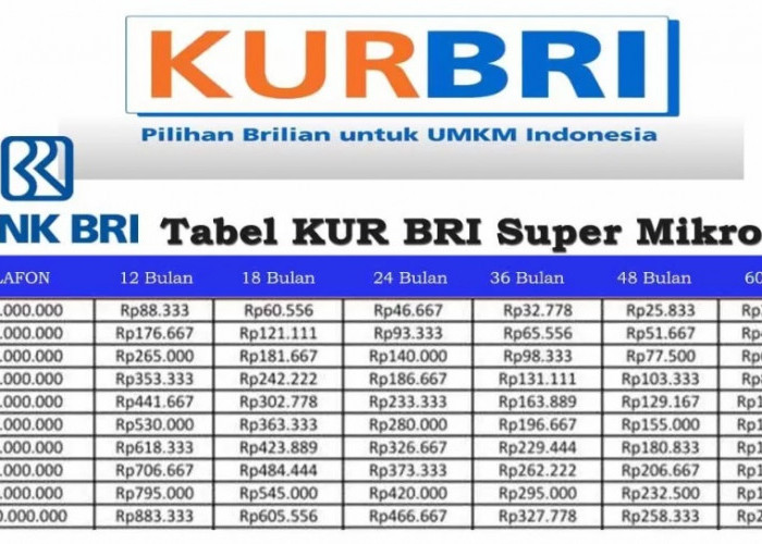Angsuran Terbaru KUR BRI 2025, Dapatkan Bunga di Bawah 3 Persen untuk Pinjaman 10 Juta Lengkap dengan Cicilan
