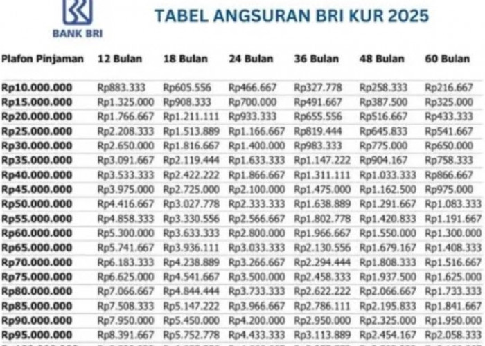 KUR BRI 50 Juta Angsuran Berapa? Tenor 60 Bulan Hanya Rp216.667 Ribu Cicilan! Lihat Skemanya Disini 