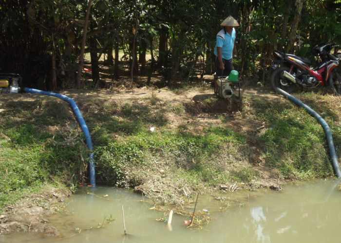 1000 Ha Sawah Penerima Manfaat Air Waduk Cipancuh Terancam Gagal Panen, Petani Genjot Pompanisasi