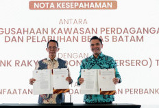 BRI Jalin Kolaborasi dengan BP Batam, BKPM dan Kementerian UMKM untuk Perkuat Investasi Daerah