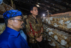 Bupati Lucky Hakim Apresiasi Pemdes Malangsemirang Luncurkan Program Lumbung Pangan