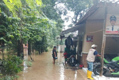 Ratusan Rumah di Desa Bangkaloa Ilir  Masih Terendam Banjir, Warga Tetap Bertahan 