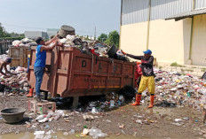 UPTD LH Jatibarang Garcep Angkut Sampah dari TPS Pasar Hewan Jatibarang