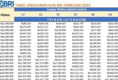 Tabel KUR BRI 2025 Pinjam 100 Juta Resmi Rilis! Lihat Dulu Cicilan Nyatanya, Bikin Kaget!