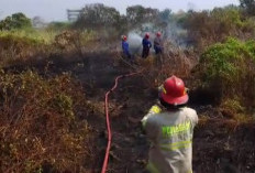 Diduga Karena Puntung Rokok, Lahan Kosong di Desa Dadap Kebakaran