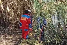Damkar Indramayu Padamkan Kebakaran Lahan Ilalang di Sindang, Warga Diimbau Tidak Bakar Sampah Sembarangan