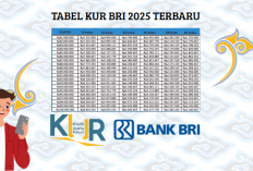 Rahasia UMKM Cepat Sukses! Simak Pinjaman KUR BRI Plafon Rp10-100 Juta 2025!