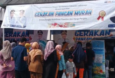 ASN dan Warga Biasa Ramai-ramai Serbu Lokasi GPM