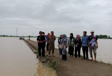 Sungai Asin Kembali Meluap, Puluhan Hektar Sawah Kebanjiran