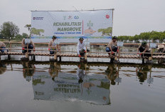 Bupati Lucky:  Penanaman Mangrove Jangan Hanya Seremonial,  Ditanam Lalu Ditinggal