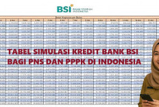Kabar Gembira, PPPK Bisa Dapat Pinjaman Rp50 Juta Modal SK Aktif: Ini Syarat, Plafon, dan Tenor di Bank BSI