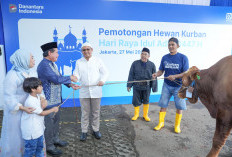 Semangat Berbagi dalam Rangka Idul Adha, BRI Group Distribusikan lebih dari 5000 Hewan Kurban 