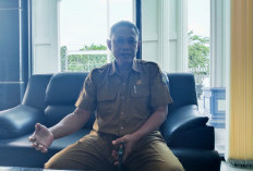 Lebih 10 Ribu Hektare Sawah Terendam, DKPP Ajukan Bantuan Benih ke Kementan