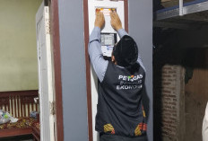 Sensus Ekonomi 2026 di Indramayu Berjalan Lancar, Warga Kerap Tanyakan Bantuan