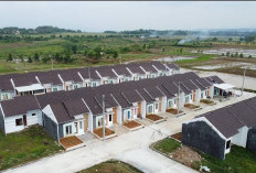 Dukung Program Tiga Juta Rumah, BRI Berhasil Salurkan KPR Subsidi Rp16,16 Triliun  kepada 118 Ribu Debitur