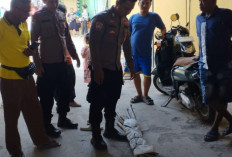 Polisi Sita 17 Senjata Tajam di Rumah Kosong Indramayu, Diduga Disiapkan untuk Tawuran