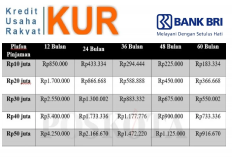 Bunga Cuma 3 Persen, Berikut Tabel Angsuran KUR BRI Rp50 Juta Lengkap dengan Cicilan Terendah dan Jenisnya