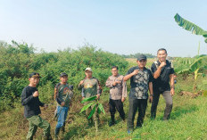 Antisipasi El Nino, Saluran Sungai Penarikan Dibersihkan demi Kebutuhan Air Petani