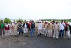 Cegah Abrasi, DPC Gerindra Indramayu Tanam Ribuan Mangrove di Pesisir Desa Tanjakan