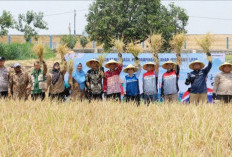 Menanam Harapan di Jatisura, Kala Panen Padi Melimpah Berdampingan dengan Ketahanan Energi