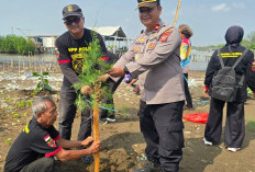 Cegah Abrasi, Polres Indramayu Bersama KBPP Polri Tanam Pohon di Kawasan Pesisir
