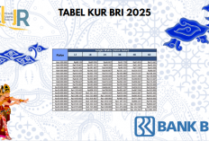 Tabel Pinjaman KUR BRI Desember 2025 Terbaru Bikin UMKM Sumringah!