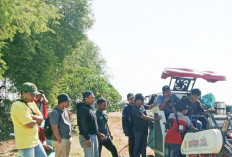 Modernisasi Pertanian di Kabupaten Indramayu, Ratusan Petani Dilatih Pengoperasian Combine Harvester
