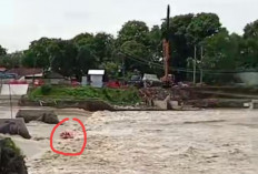 Hingga Malam, Dua Mahasiswa Polindra yang Hilang di Sungai Cimanuk Belum Ditemukan 