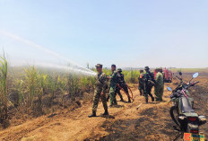 TNI Bersama Warga Berhasil Padamkan Kebakaran Lahan Tebu di Indramayu 