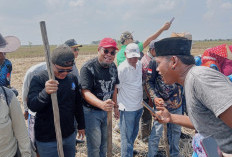 Desa  Sukamulya Siap Jadi Percontohan Desa Kedelai Tingkat Nasional