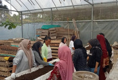 Perempuan Nasabah PNM Mekaar di Bandung Barat Kembangkan Usaha lewat Sinergi Ultra Mikro BRI