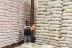 MT Rendeng, Pupuk Kujang Pastikan Kebutuhan Pupuk di Indramayu Terpenuhi